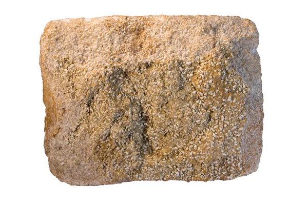 Fossiliferous 石灰石 — 图库照片