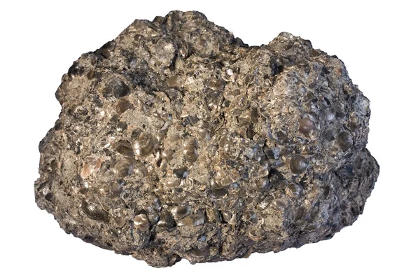 リン鉱石 (リン酸塩肥料の鉱石) ストック写真