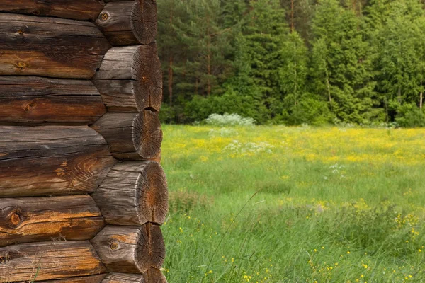 Casa de troncos en entornos rurales —  Fotos de Stock