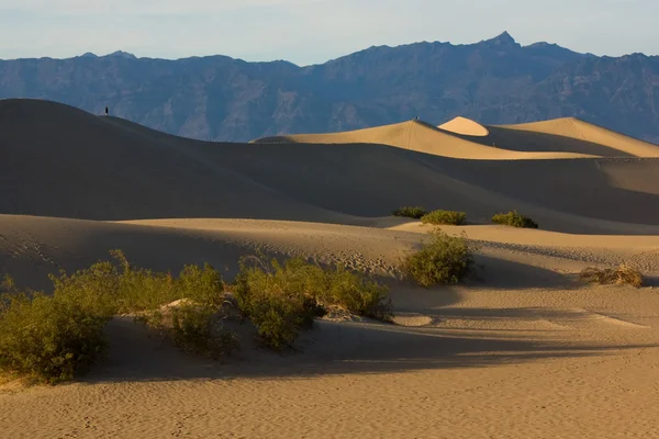 Mesquite sanddyner i death valley — Stockfoto