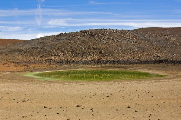 Lago Alpino com algas verdes no Havaí — Fotografia de Stock