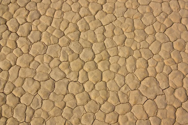 Mud cracks of Racetrack Playa — Stock Photo, Image