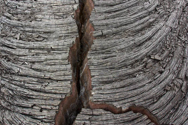 Spleet in een ropy basaltische lava — Stockfoto