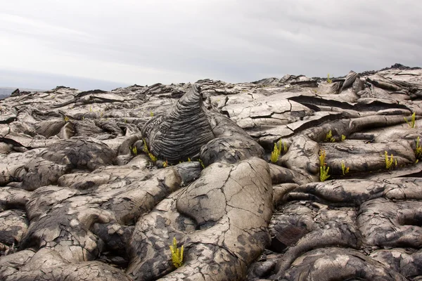 Lava basáltica — Fotografia de Stock