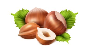 3D gerçekçi vektör simgesi. Fındık soyulmuş, ikiye bölünmüş ve yeşil fındık yaprakları. Beyaz arkaplanda izole.