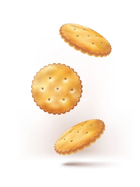 Vectoricoon Realistisch Vallende Ronde Crackers — Stockvector