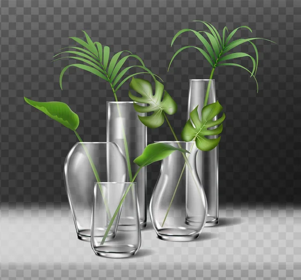 Ícone Realista Isolado Grande Coleção Vasos Transparentes Com Plantas — Vetor de Stock