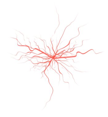3D gerçekçi ikon. İnsan kırmızı damarları, kan sistemi. Damar, damar ve kapsül..