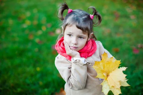 Portret van schattig peuter meisje denken over val — Stockfoto