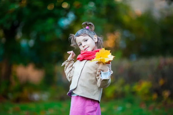 Mooi peuter meisje met gele bladeren boeket — Stockfoto