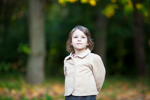 Retrato de niña adorable en el parque de otoño —  Fotos de Stock