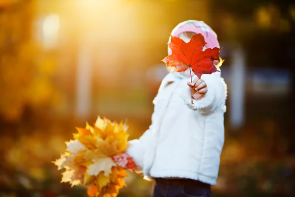 küçük kızın yüzünü akçaağaç yaprağı ile gizleme