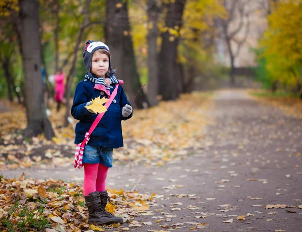 Schattig peuter meisje in mooie herfst park — Stockfoto