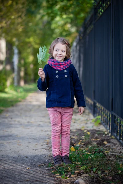 Vorschulmädchen im Herbstpark spielt mit Ahornblättern — Stockfoto