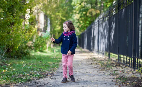 iskambil kız sonbahar Park akçaağaç yaprakları ile oynama