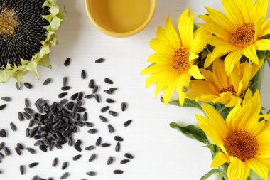 ayçiçeği tohumu ve ahşap masa beyaz üzeri yağlıboya