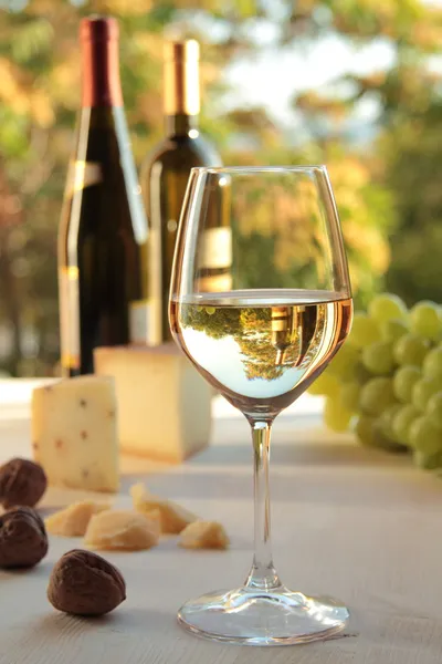 Glass of white wine — Stock Photo, Image