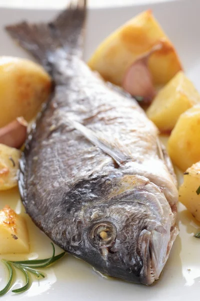 Roast fish ith potato — Stock Photo, Image