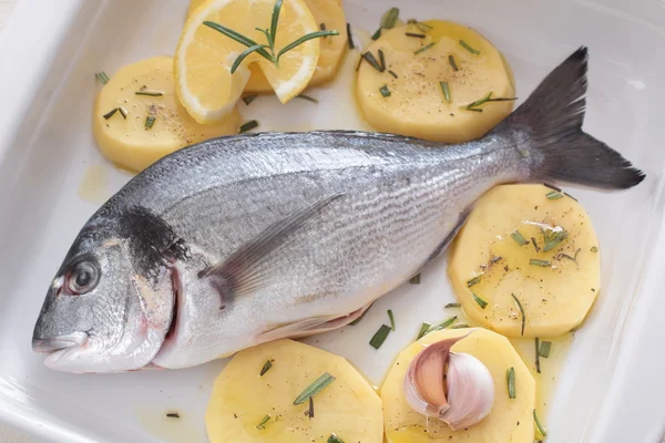 Fresh fish on plate — Stock Photo, Image