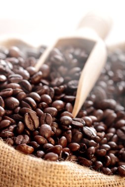 Kavrulmuş kahve çekirdeği.