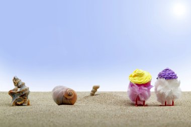 coppia di pulcini riva al Mare