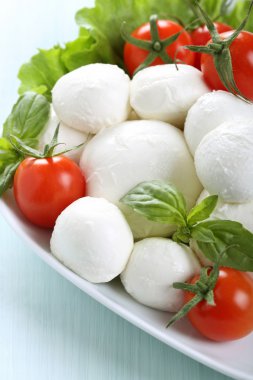 mozzarella salatası fesleğen ve domates