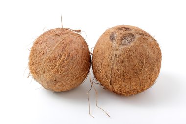 Beyaz arkaplanda hindistan cevizi