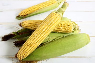 mısır koçanı kadar yakın