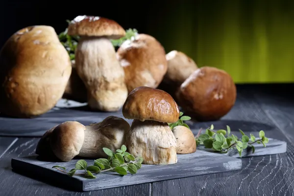 Svamp boletus grön bakgrund — Stockfoto