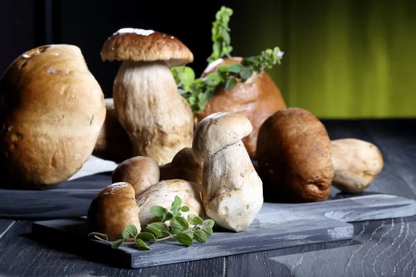 Svamp boletus grå bord grön bakgrund — Stockfoto