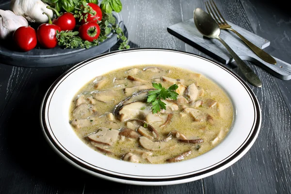 Boletus Mushroom soup gray background — Stock Photo, Image