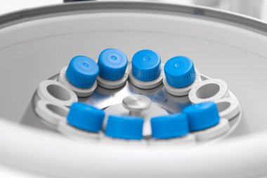 Biyoloji laboratuarında girdap Mikser