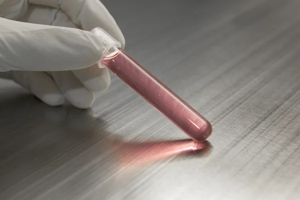 Provetta con campione di sangue in laboratorio biologico — Foto Stock