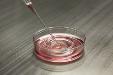 konteyner ile sıvı ve enjektör