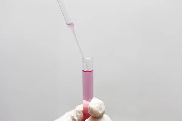 Tubo di prova in laboratorio biologico — Foto Stock