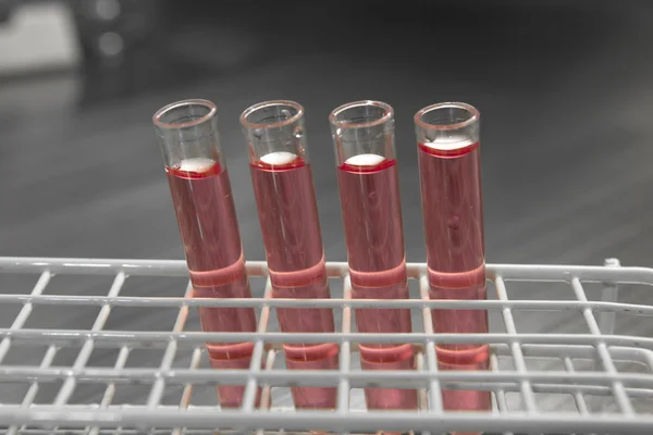 Provette con campione di sangue in laboratorio biologico — Foto Stock