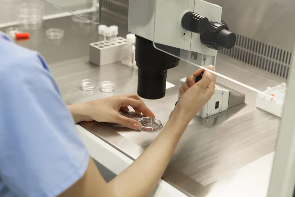 Scientist using a microscope — Stock Photo, Image