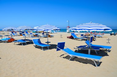 Rimini beach - şemsiye 1