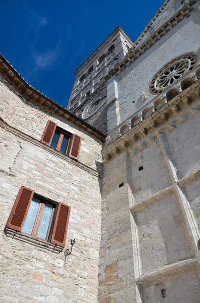 Catedral de São Ruffino-1 — Fotografia de Stock