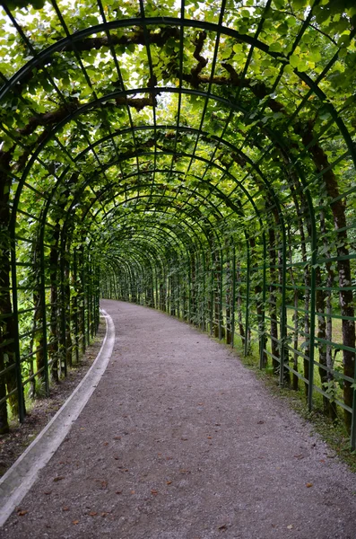 Trelly tunnel, Duitsland linderhof Rechtenvrije Stockfoto's