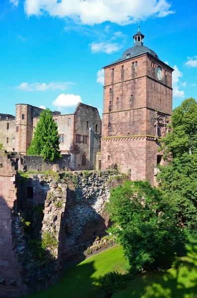 Heidelberg, ruinas del castillo 2 —  Fotos de Stock