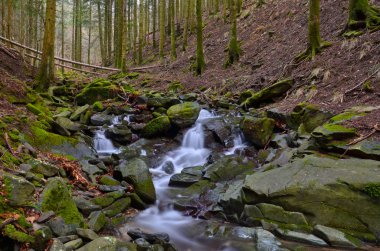Vallombrosa orman, şelale 1