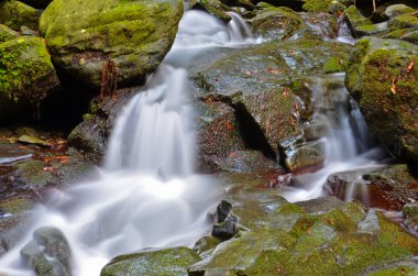 Vallombrosa orman, şelale 3