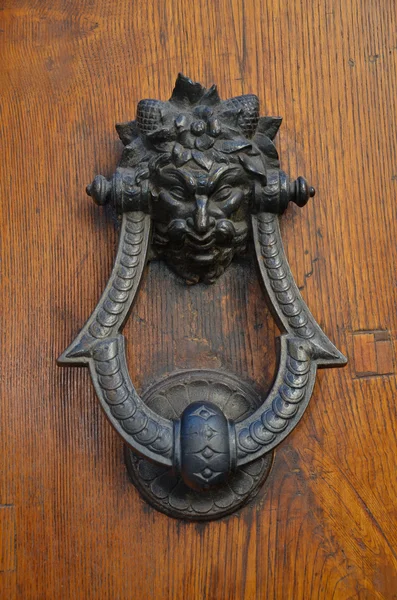 Door knocker 3 — Stockfoto