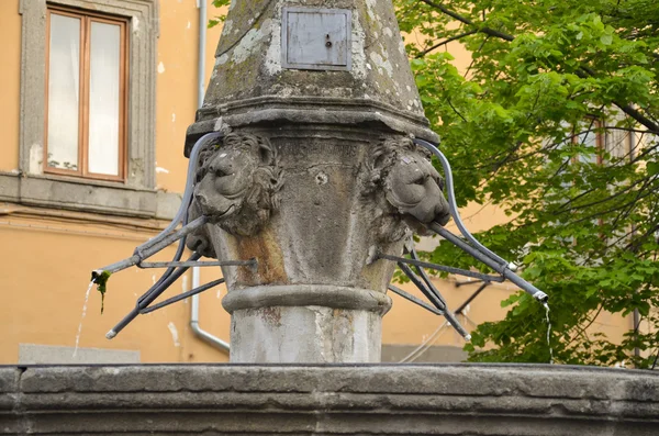 Fountain San Faustino, Viterbo — Stock Photo, Image