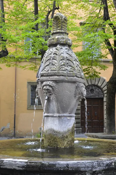 Fontän dödens, viterbo 2 — Stockfoto