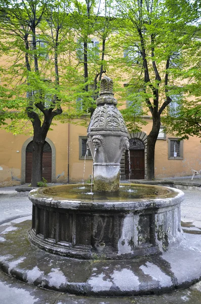 Fontein van de dood, viterbo — Stockfoto