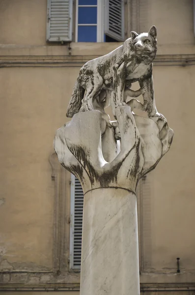 Symbol för området av lupa, siena — Stockfoto