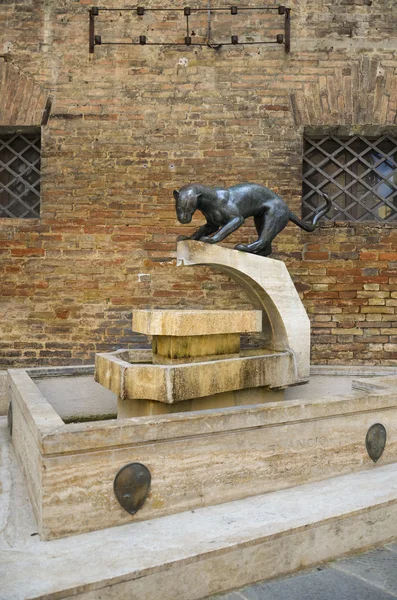 Symbol of the district Panther, Siena — Stock Photo, Image