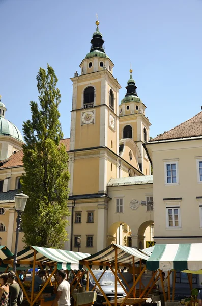 Kathedraal van st. Nicolaas, ljubljana — Stockfoto